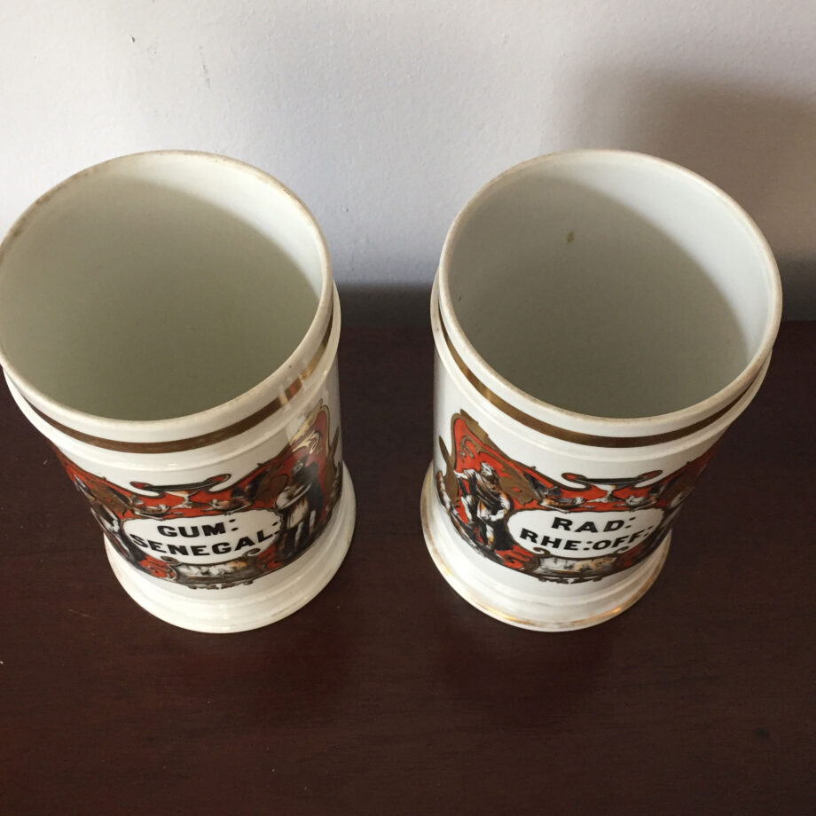 Pair of Porcelain Apothecary Jars