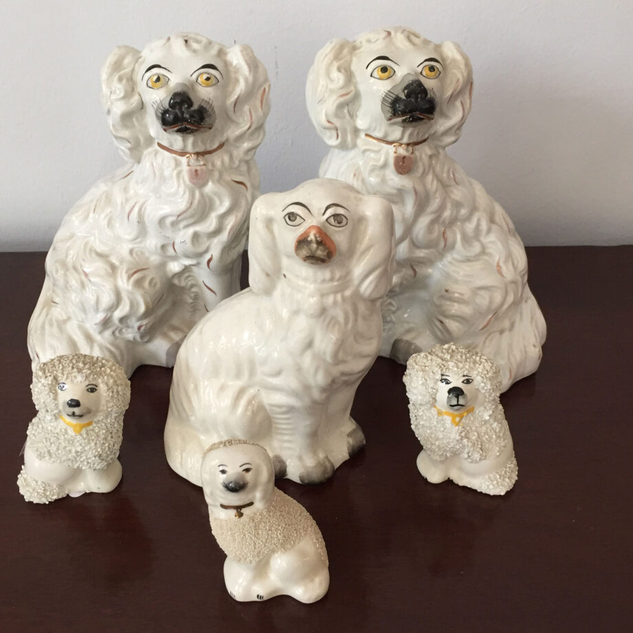 Collection of Staffordshire Dogs