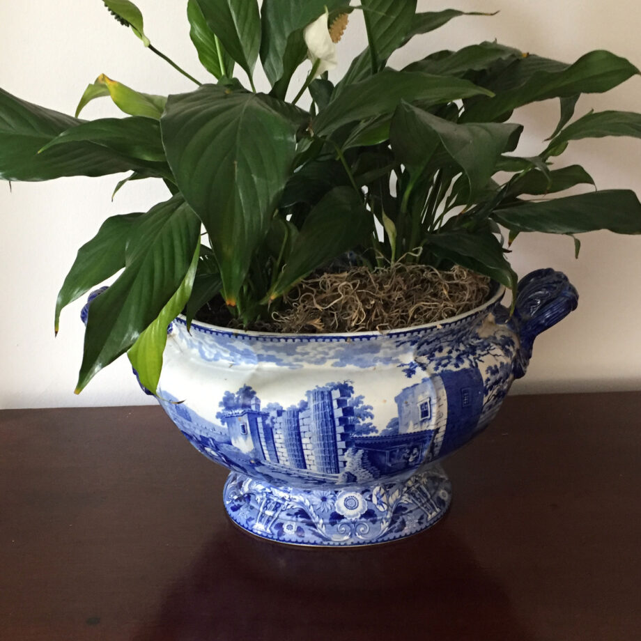 Staffordshire Planter