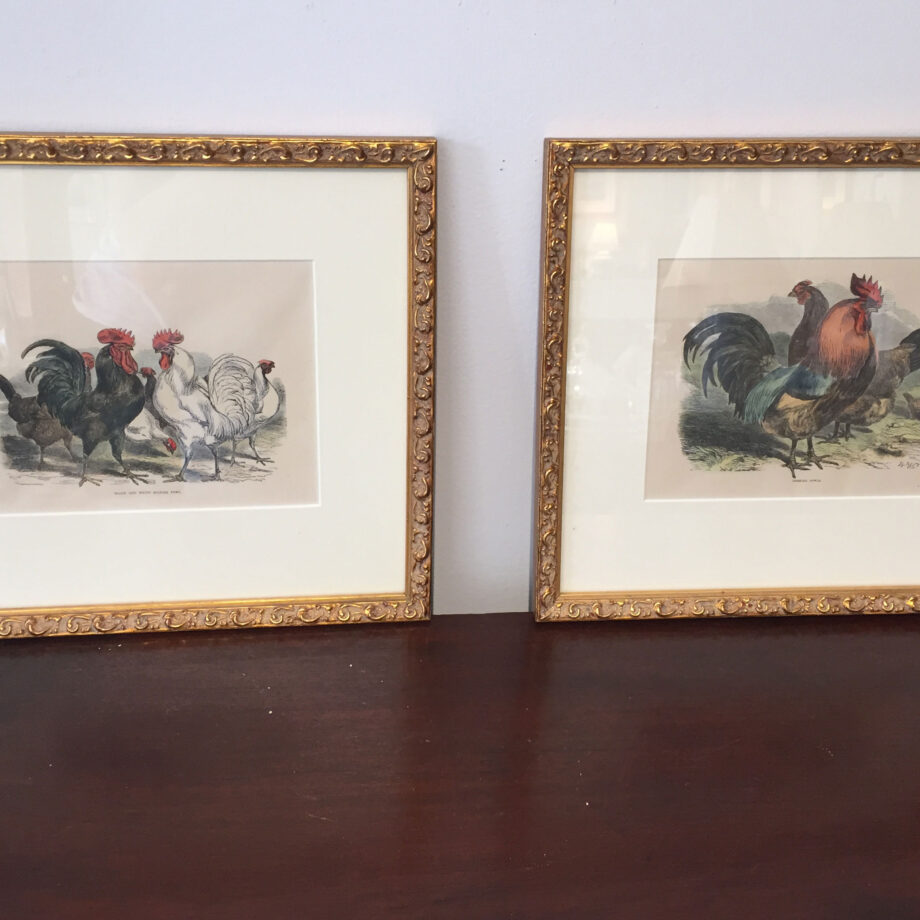 Pair of Poultry Prints