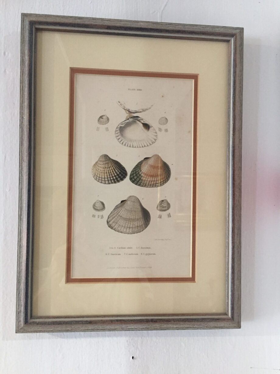 Three Hand Colored Copper Plate Engravings