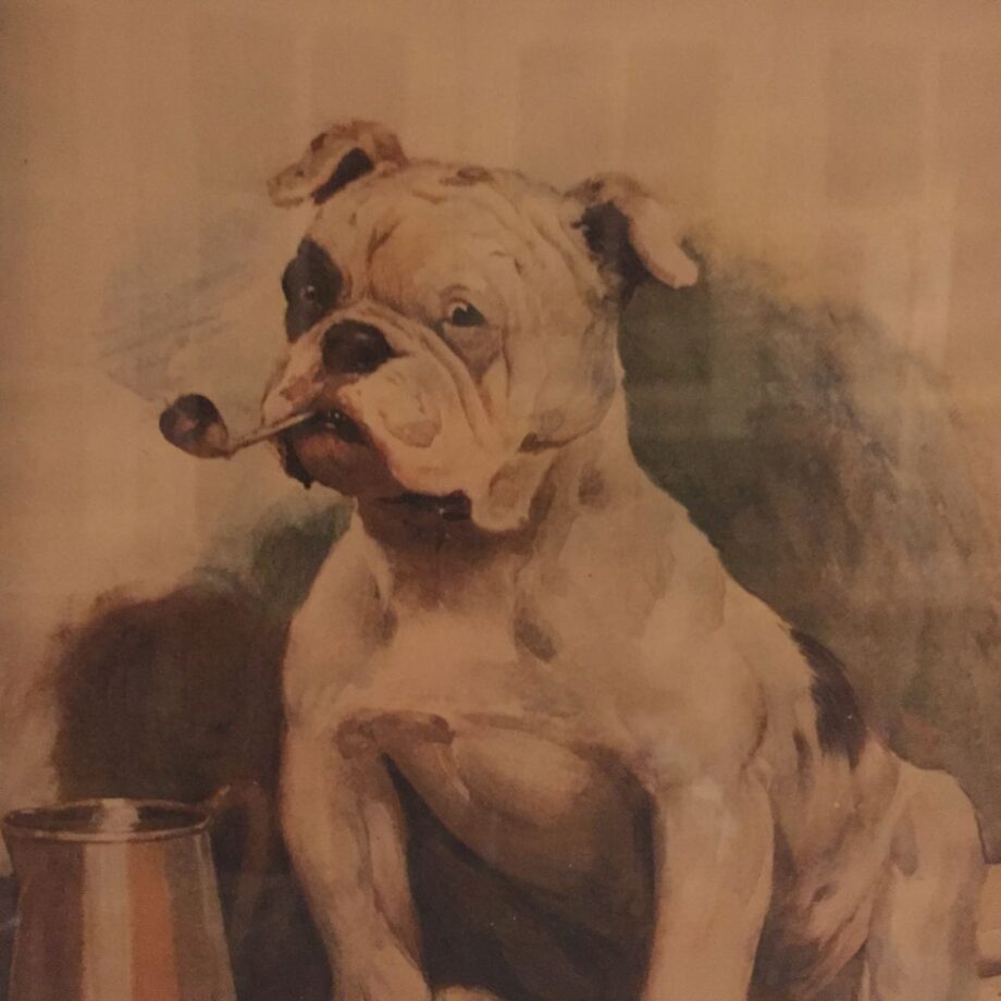 Bulldog Print