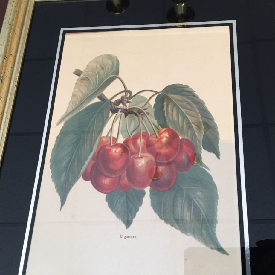 Pair Of Hand Colored Fruit Prints