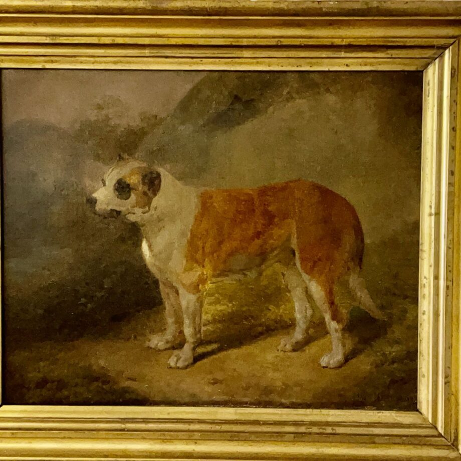 Painting Of A Dog On Canvas