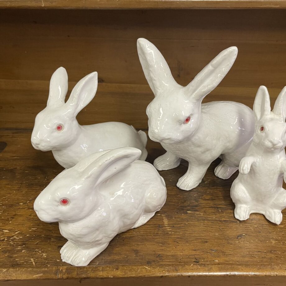 French Bavent Bunnies