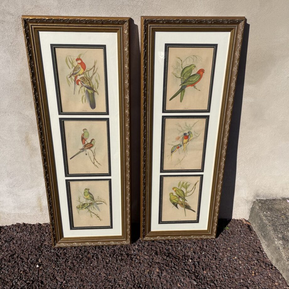 Framed Hand Colored Bird Prints