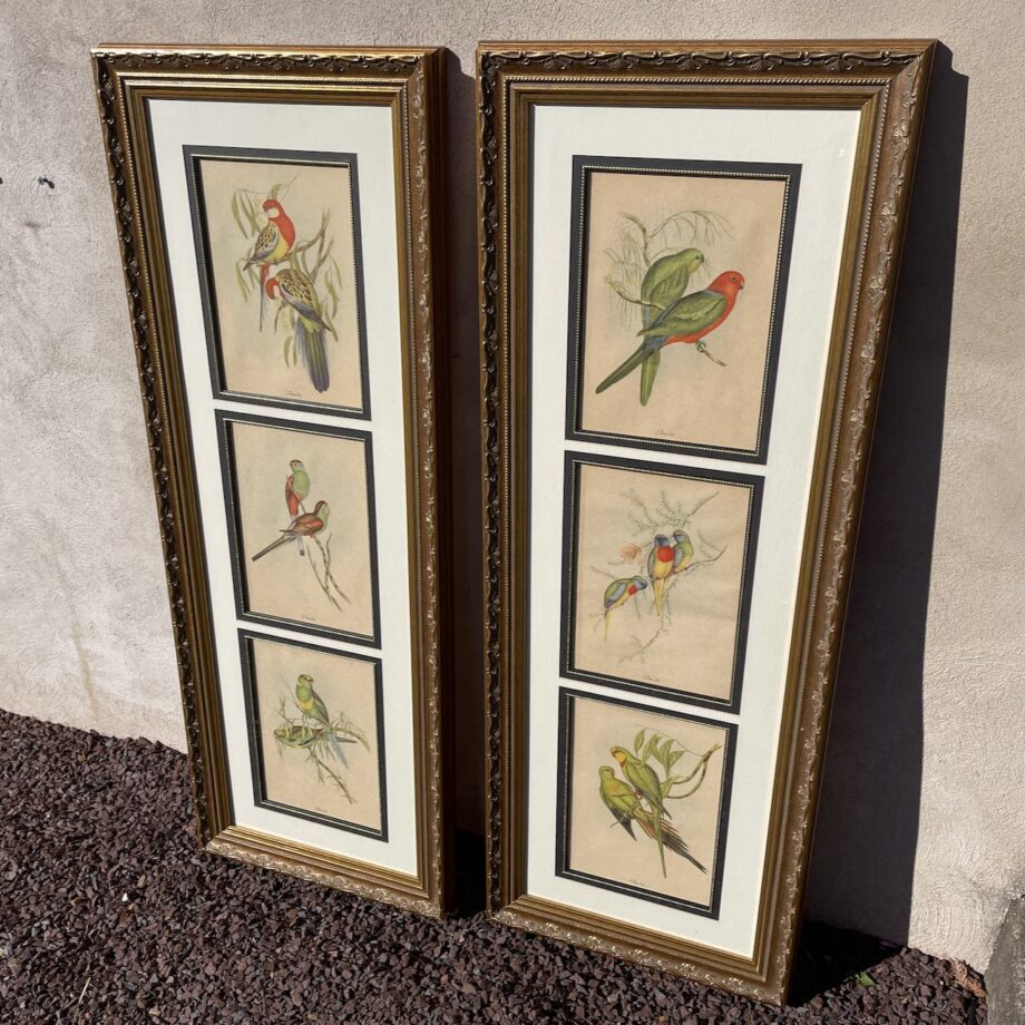 Framed Hand Colored Bird Prints