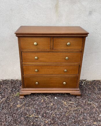 Miniature Mahogany Chest