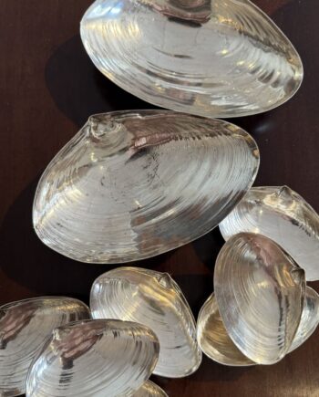 Sterling Silver Clam Shell Dishes