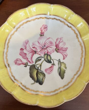 Derby Porcelain Botanical Plate