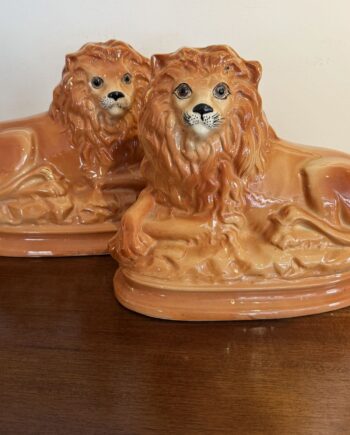 Staffordshire Lions
