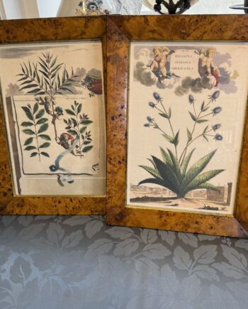 Hand Colored Prints